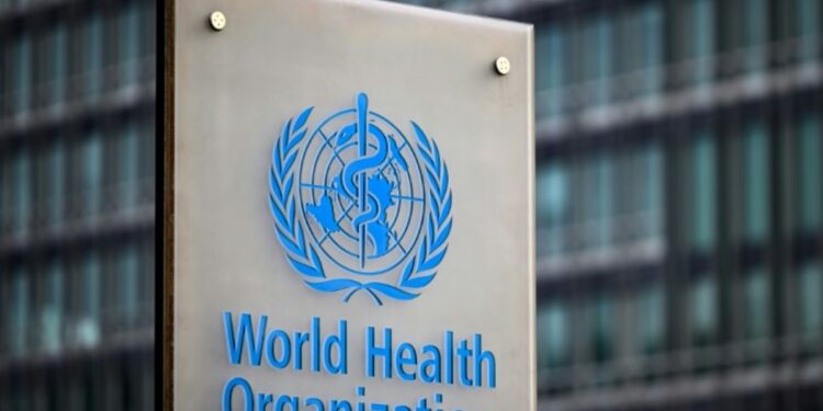 Santé : le nombre de décès dus au choléra a augmenté de 50 % en 2024 (OMS)