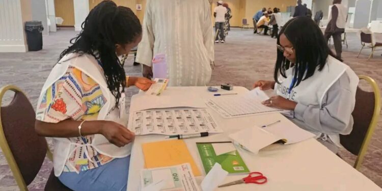 Référendum : la mobilisation des Guinéens à New York et dans les grandes villes de la côte Est