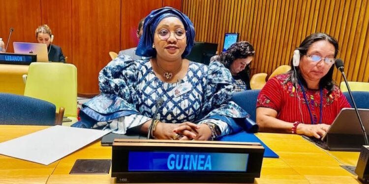 80ᵉ Session des Nations unies : la Guinée prend la présidence du Groupe africain