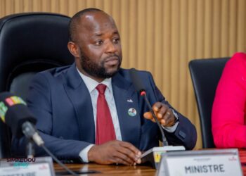 Recrutement de 300 Enseignants-Chercheurs Contractuels pour l’Enseignement Supérieur et la Recherche en Guinée (2025-2026)
