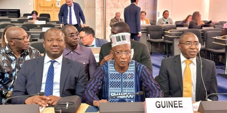 Genève: adoption du rapport national de la Guinée au Conseil des droits de l’Homme