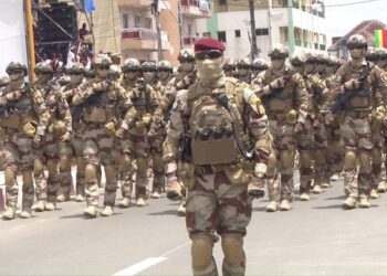 Armée : un sous-lieutenant radié des effectifs (décret)
