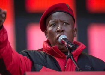 Afrique du Sud : l’opposant Julius Malema condamné pour « possession illégale d’armes à feu »
