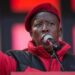 Afrique du Sud : l’opposant Julius Malema condamné pour « possession illégale d’armes à feu »
