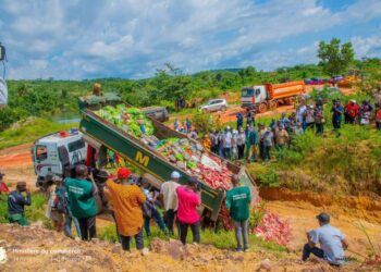 Dubréka: 1.568 tonnes de produits prohibés détruits par l’ONCQ