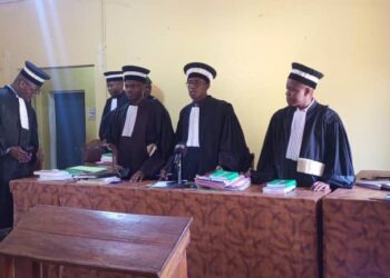 Labé : Tidiane Diallo condamné à 10 ans de prison ferme pour tentative de viol sur un bébé de 11 mois