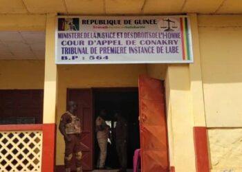 Labé: Daouda Bah condamné à 30 ans de prison, pour l’assassinat de sa marâtre à Koubia