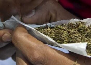Détention de chanvre indien: 3 jeunes écopent de 6 mois de prison ferme, au TPI de Dixinn