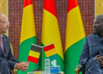 Diplomatie: la Belgique réaffirme son engagement envers la Guinée, annonce son nouvel Ambassadeur