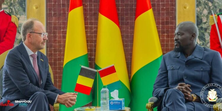 Diplomatie: la Belgique réaffirme son engagement envers la Guinée, annonce son nouvel Ambassadeur