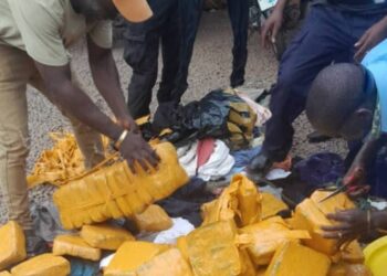 Kamsar: 62 kg de chanvre indien saisis par la police lors d’une patrouille
