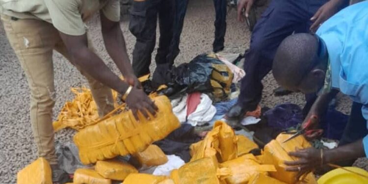 Kamsar: 62 kg de chanvre indien saisis par la police lors d’une patrouille