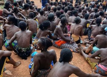 Lola : tensions grandissantes entre l’éleveur Elhadj Gouro Boly et les communautés locales
