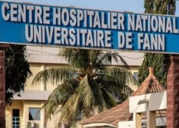 Fièvre de la Vallée du Rift: 302 cas dont 26 décès au Sénégal, 7 cas de Mpox confirmés à Dakar