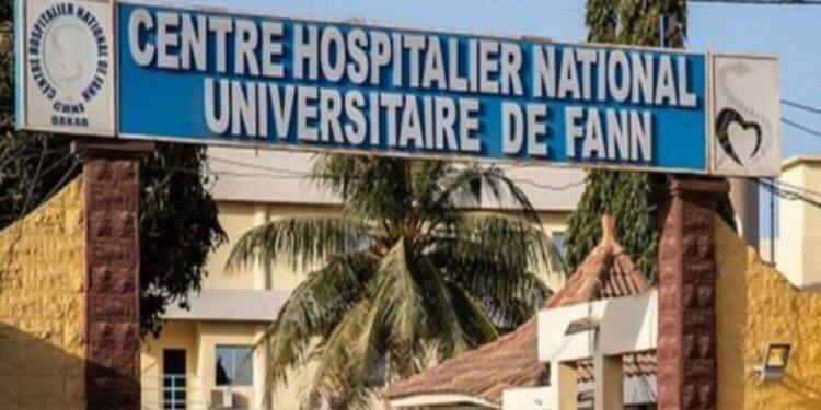 Fièvre de la Vallée du Rift: 302 cas dont 26 décès au Sénégal, 7 cas de Mpox confirmés à Dakar