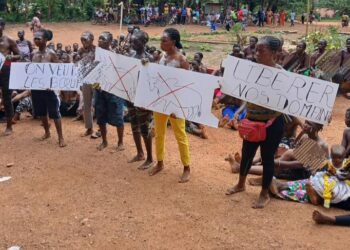 Conflits fonciers à Lola : les femmes manifestent pour réclamer le départ des éleveurs