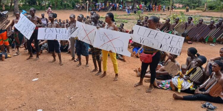 Conflits fonciers à Lola : les femmes manifestent pour réclamer le départ des éleveurs