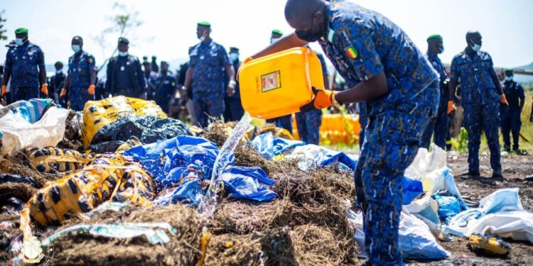 Lutte contre la drogue: une cérémonie d&rsquo;incinération des quantités saisies, organisée à Coyah 
