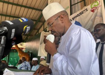 Présidentielle 2025 : le PADES promet l’électricité 24h/24 dans toutes les localités de Guinée