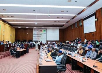 Guinée: le CNT examine 3 accords de financement pour l’énergie et la pêche