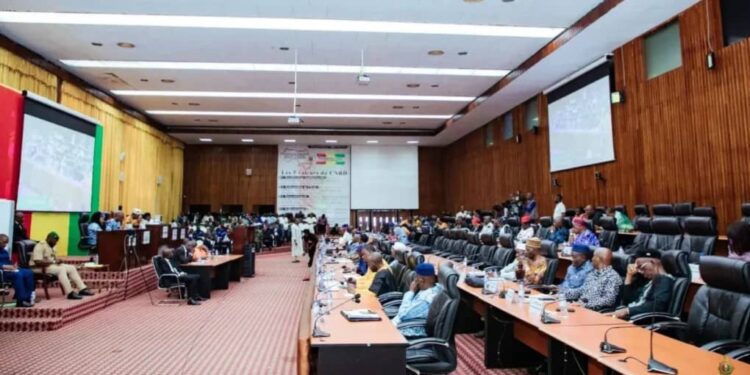 Guinée: le CNT examine 3 accords de financement pour l’énergie et la pêche