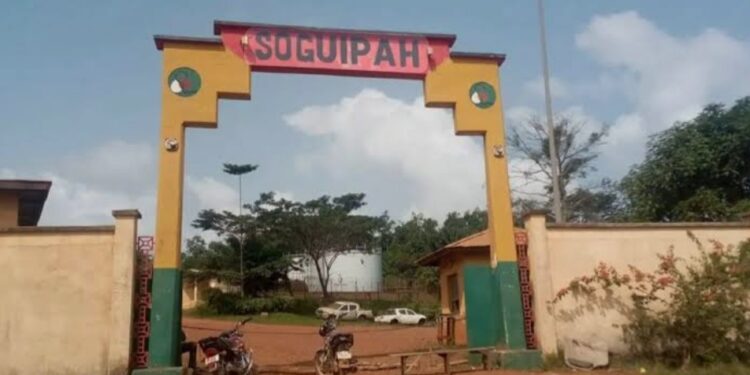 Diécké/SOGUIPAH S.A: « levée de la grève des planteurs d’hévéa »