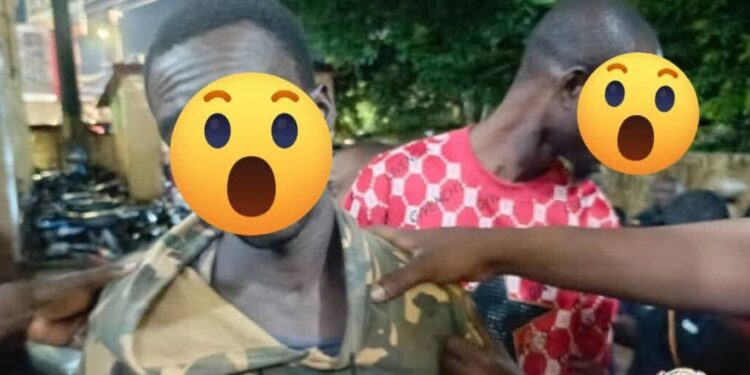 Opération ouragna : 4 interpellations, 3kg de chanvre indien et une agent blessé à Kaporo raills