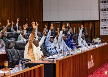 Le CNT adopte 5 lois pour renforcer la culture, la science et l’innovation en République de Guinée