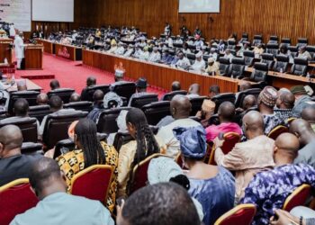 Plénière du CNT: examen des lois organiques sur les partis politiques, la Cour constitutionnelle et la Cour suprême