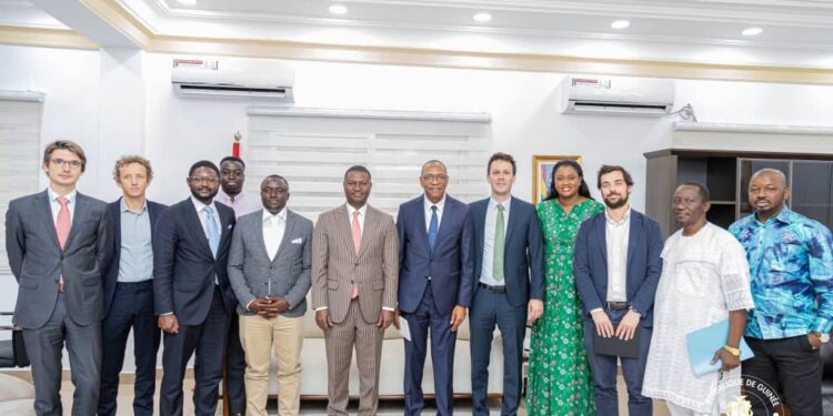 Guinée : vers la construction de 80 MW de solaire pour accélérer l’électrification rurale verte