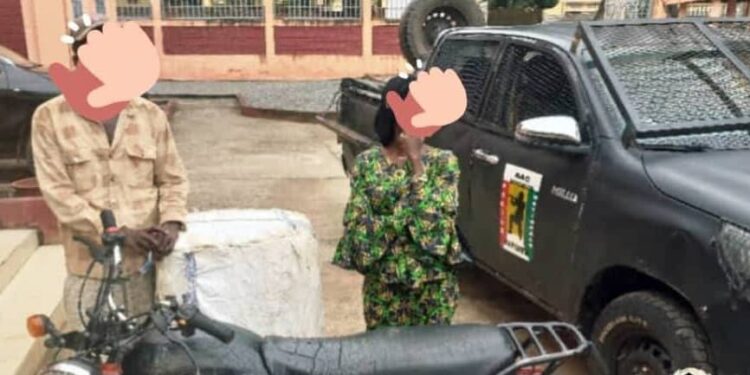 Kindia : la police arrête deux personnes avec  100 kg de chanvre indien