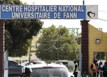 Sénégal: 424 cas de Fièvre de la Vallée du Rift et 93 cas de Mpox 