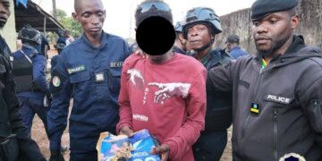 Matoto: 3 interpellations et plus de 170 doses de stupéfiants saisis (Police)