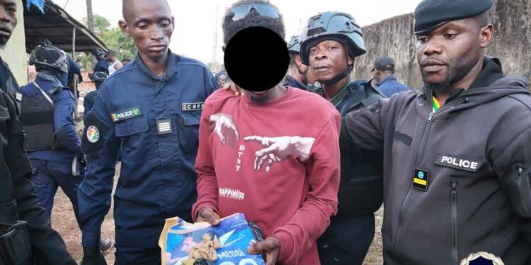 Matoto: 3 interpellations et plus de 170 doses de stupéfiants saisis (Police)