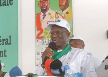 Présidentielle 2025 : le PUP se range derrière le Général Doumbouya