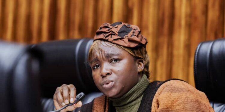 CNT : « j’ai reçu les propositions de loi à 12 heures seulement », dénonce l’honorable Sény Kpanamou du BL