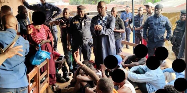 Sonfonia : 23 interpellations et plus de 7 kg de stupéfiants saisis (Police)