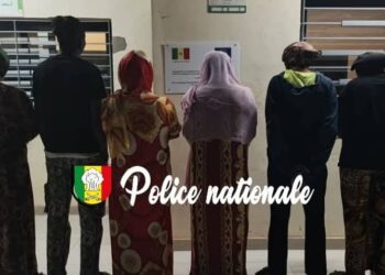 Sénégal–Guinée–Sierra Leone: un réseau mafieux d’exploitation sexuelle déjoué