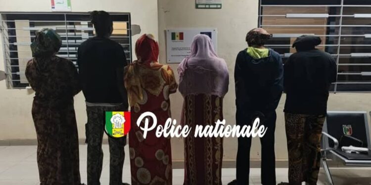 Sénégal–Guinée–Sierra Leone: un réseau mafieux d’exploitation sexuelle déjoué