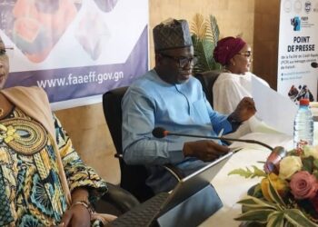 Incendie de Kaloum : 42 milliards GNF pour relancer 100 ménages sinistrés