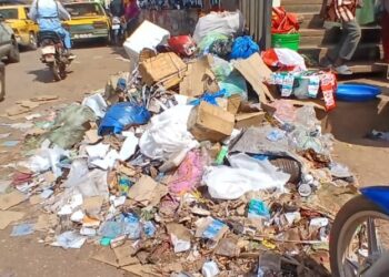 Wanindara–T7: la journée citoyenne d’assainissement vire apparemment à l’échec, les ordures règnent en maître sur…