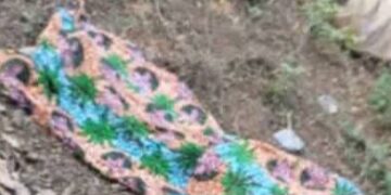 Accident à Gbinkili: le bilan passe désormais à 8 morts