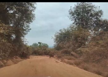 Labé : le Khalif général du Fouta Djallon exprime sa vive préoccupation face à l’état de la route Labé–Dionfo
