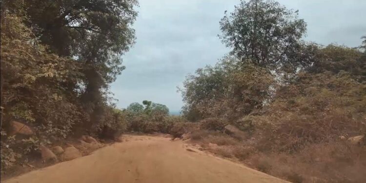 Labé : le Khalif général du Fouta Djallon exprime sa vive préoccupation face à l’état de la route Labé–Dionfo