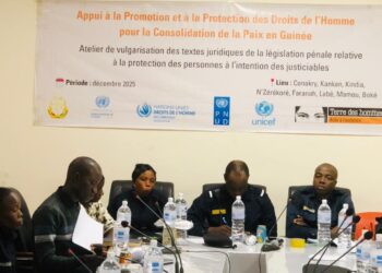 Nzérékoré : Terre des Hommes et l’Unicef renforcent les capacités des acteurs de la chaîne pénal sur les textes relatifs à la protection des personnes