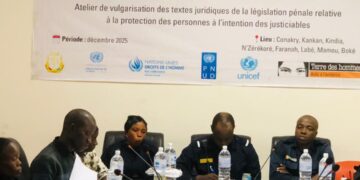 Nzérékoré : Terre des Hommes et l’Unicef renforcent les capacités des acteurs de la chaîne pénal sur les textes relatifs à la protection des personnes
