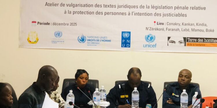 Nzérékoré : Terre des Hommes et l’Unicef renforcent les capacités des acteurs de la chaîne pénal sur les textes relatifs à la protection des personnes