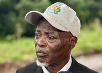 Scrutin présidentiel en Guinée : le PDS de Lambanyi rassure et …