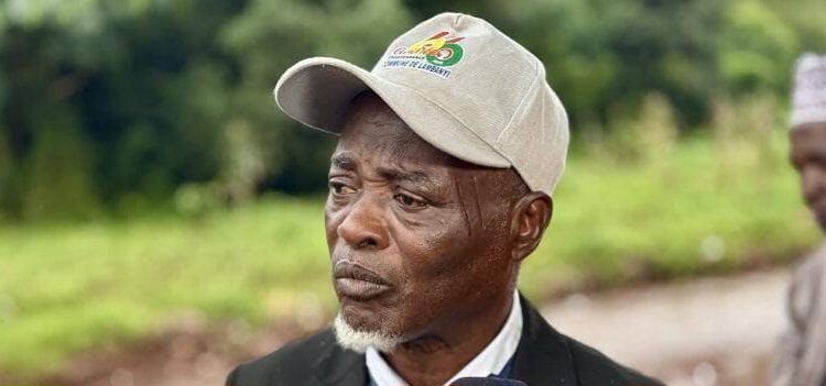 Scrutin présidentiel en Guinée : le PDS de Lambanyi rassure et …