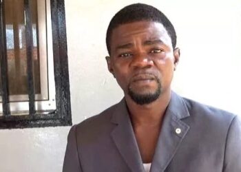 Ossature gouvernementale : séduit, Francis Haba espère une réduction de la pauvreté en Guinée